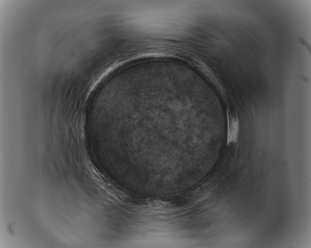 X0000101650387200807241400