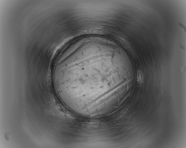 X0000101650388200807241400