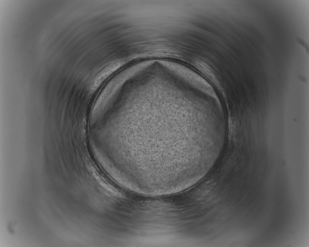 X0000101650389200807241400
