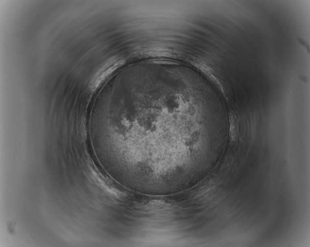 X0000101650390200807241400