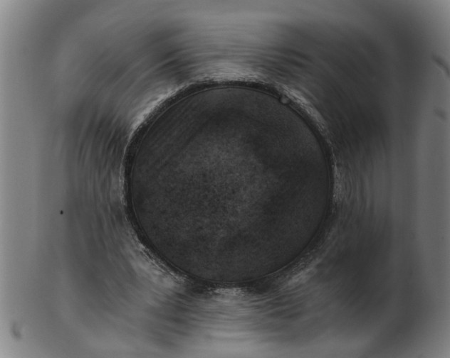 X0000101650391200807241400