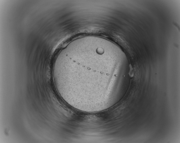 X0000101650392200807241400