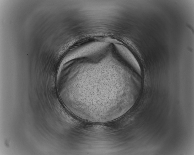 X0000101650393200807241359