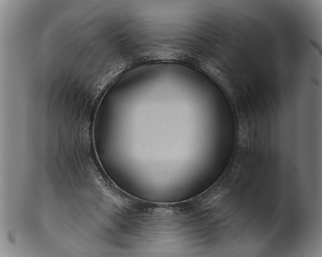 X0000101650394200807241359