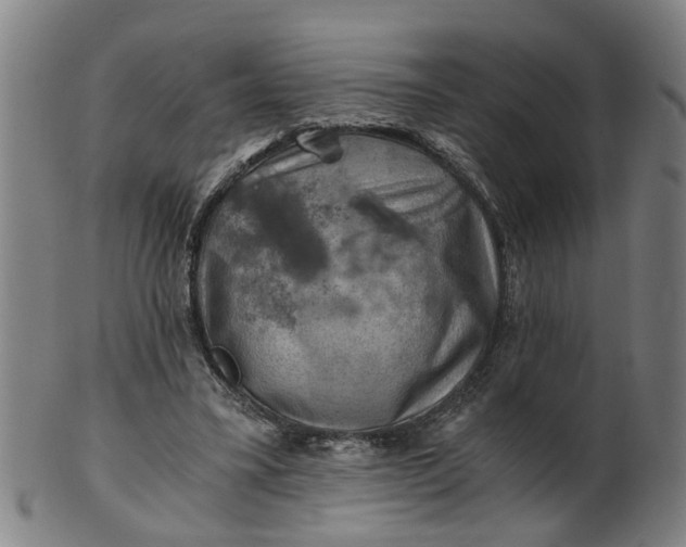 X0000101650395200807241359