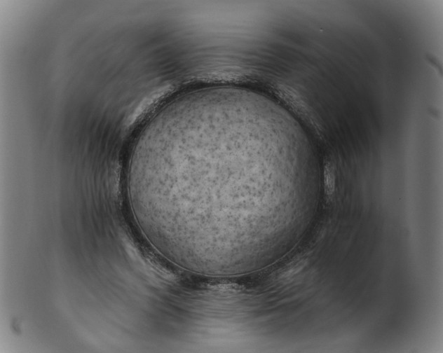 X0000101650396200807241359