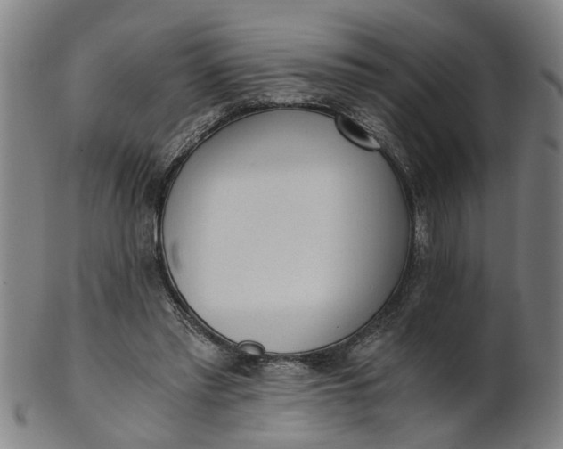 X0000101650397200807241359