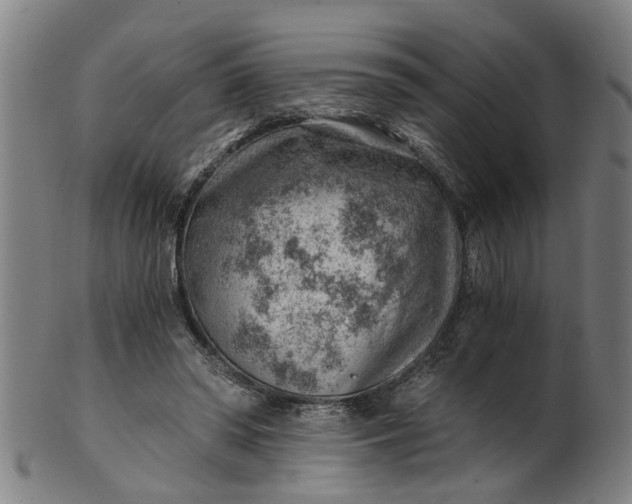 X0000101650398200807241359