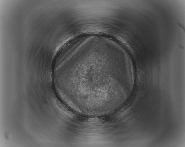 X0000101650399200807241359