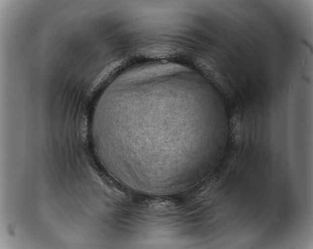 X0000101650400200807241359