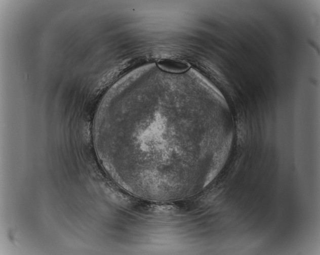 X0000101650401200807241359