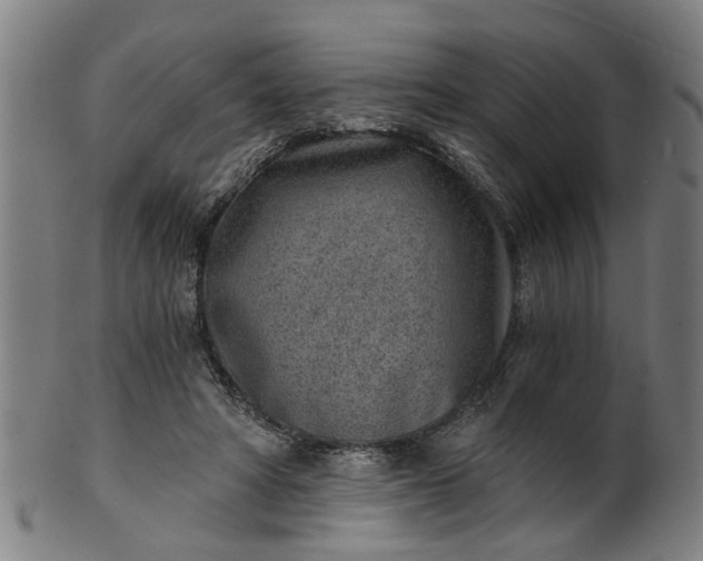 X0000101650402200807241359