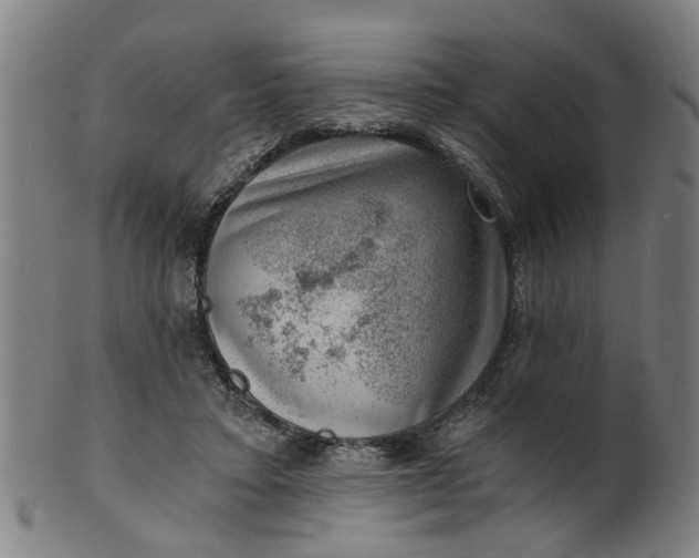 X0000101650403200807241359