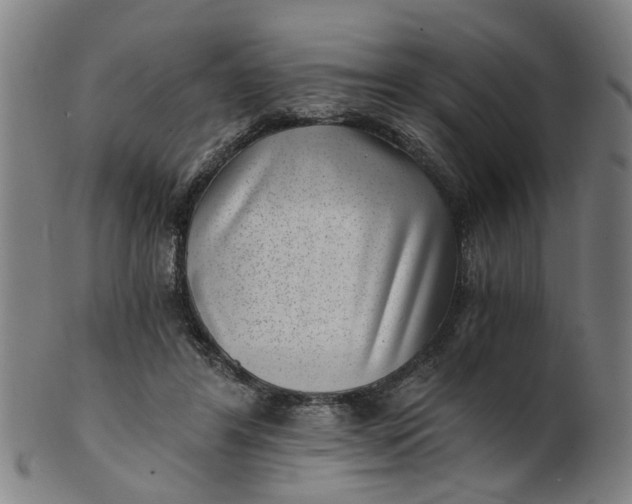 X0000101650404200807241359