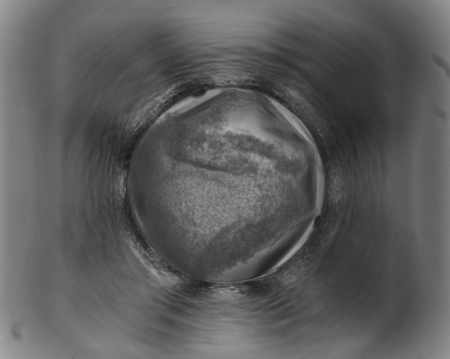 X0000101650405200807241359