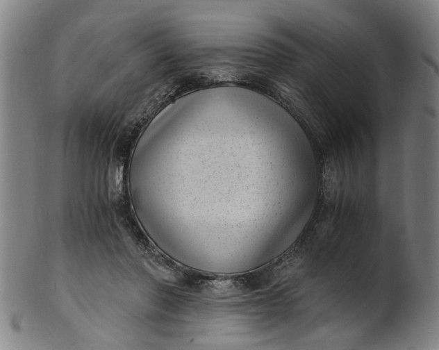 X0000101650406200807241359