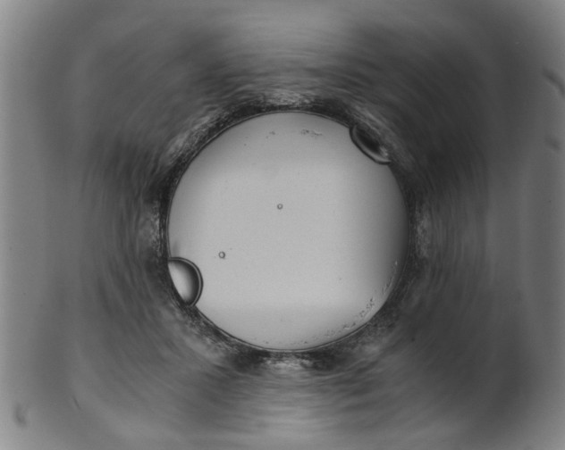 X0000101650407200807241359