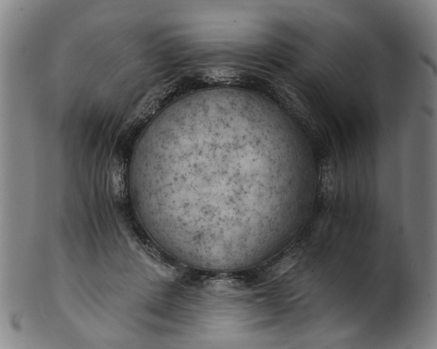 X0000101650408200807241359