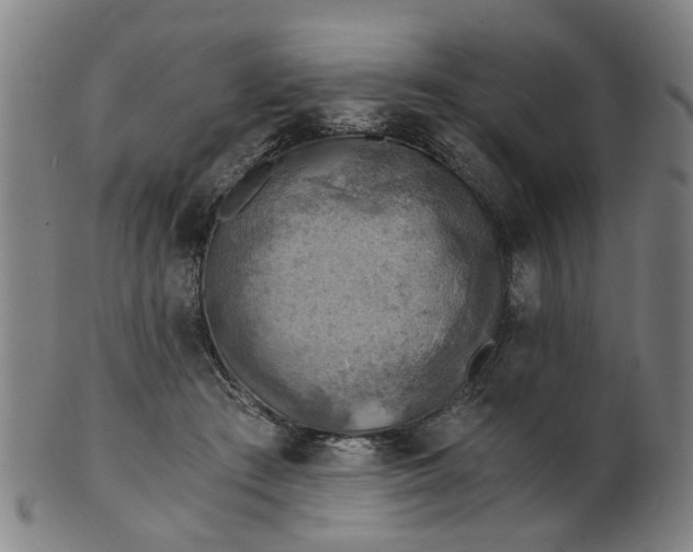 X0000101650409200807241359