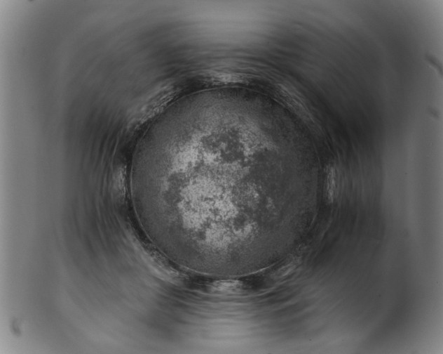 X0000101650410200807241359