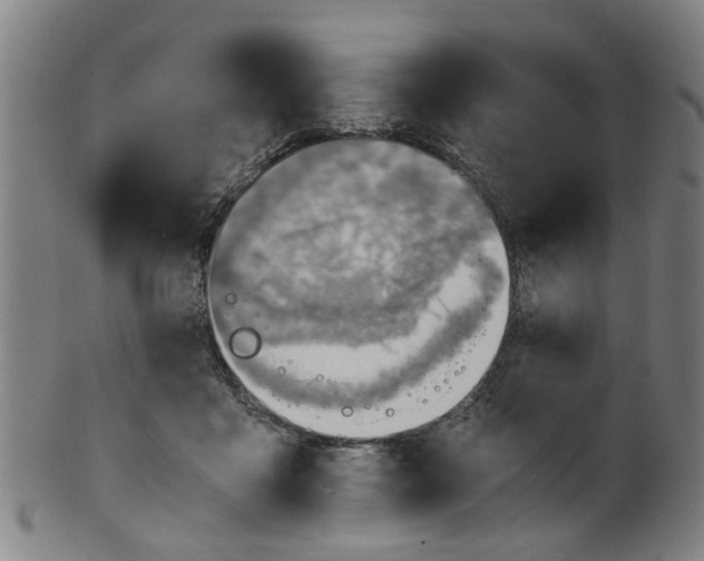 X0000101650411200807241359