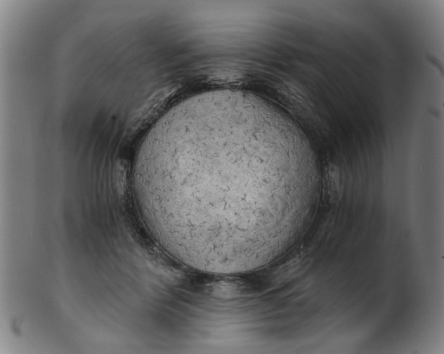 X0000101650412200807241359