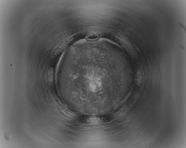 X0000101650413200807241359