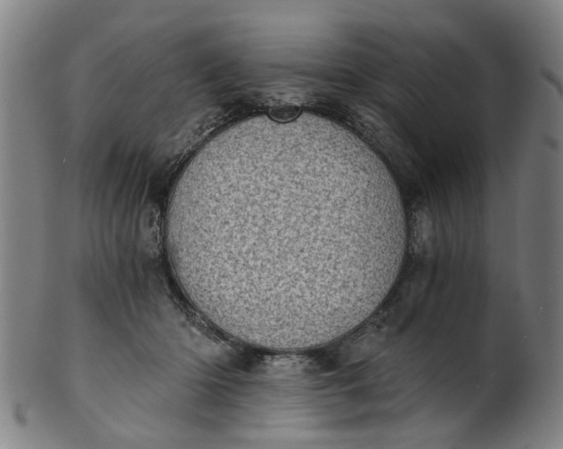 X0000101650414200807241359