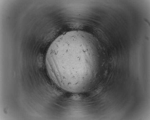 X0000101650416200807241359