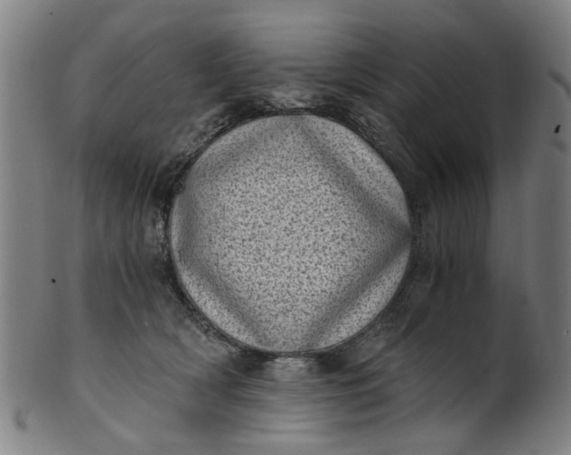 X0000101650418200807241359