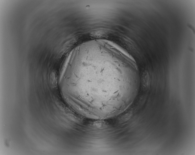 X0000101650420200807241359