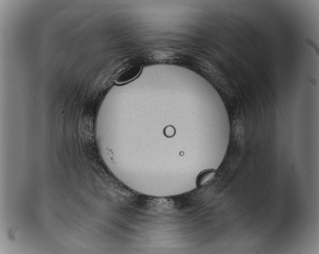 X0000101650421200807241359