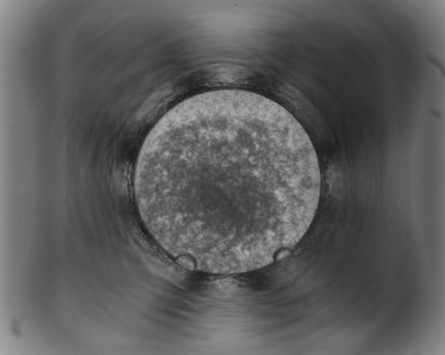 X0000101650423200807241359