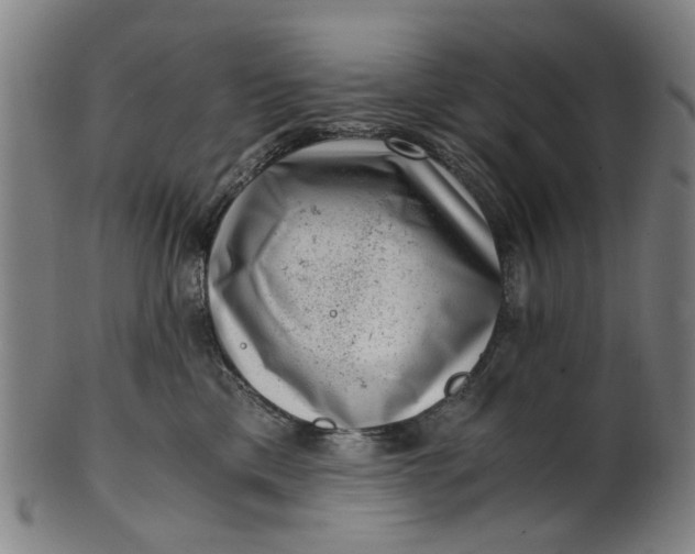 X0000101650425200807241359