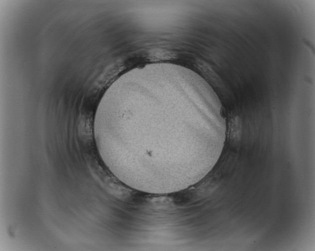 X0000101650426200807241359