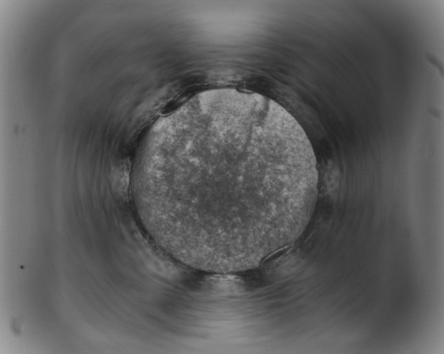 X0000101650427200807241359