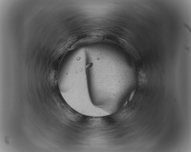 X0000101650428200807241359