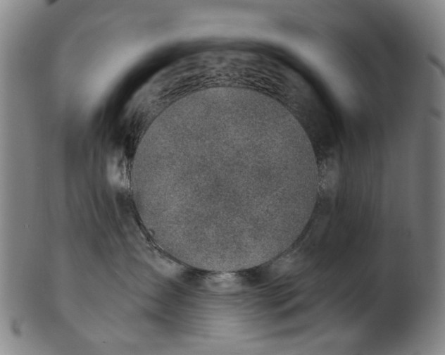 X0000101650431200807241359