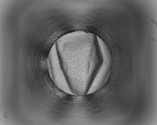 X0000101650432200807241359