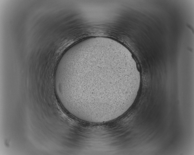 X0000101650433200807241358