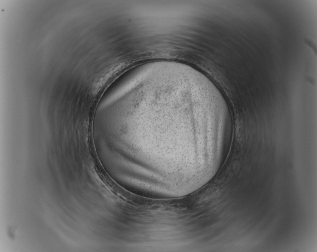 X0000101650434200807241358