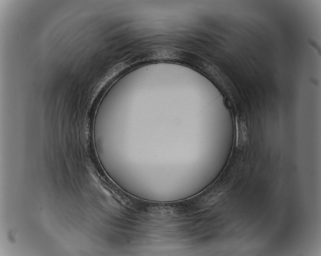 X0000101650435200807241358