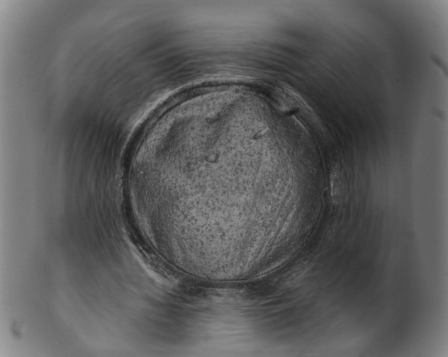 X0000101650436200807241358