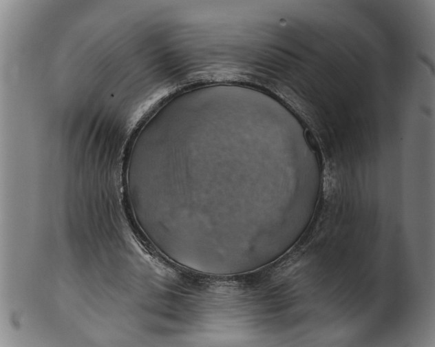 X0000101650438200807241358