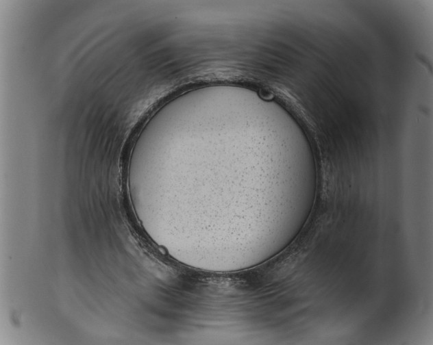 X0000101650439200807241358