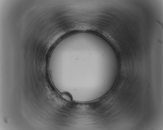 X0000101650440200807241358