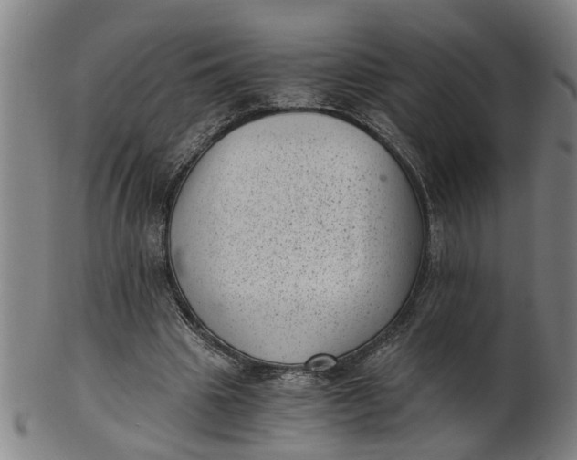 X0000101650441200807241358