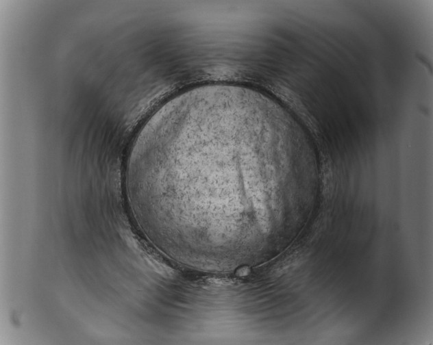 X0000101650442200807241358