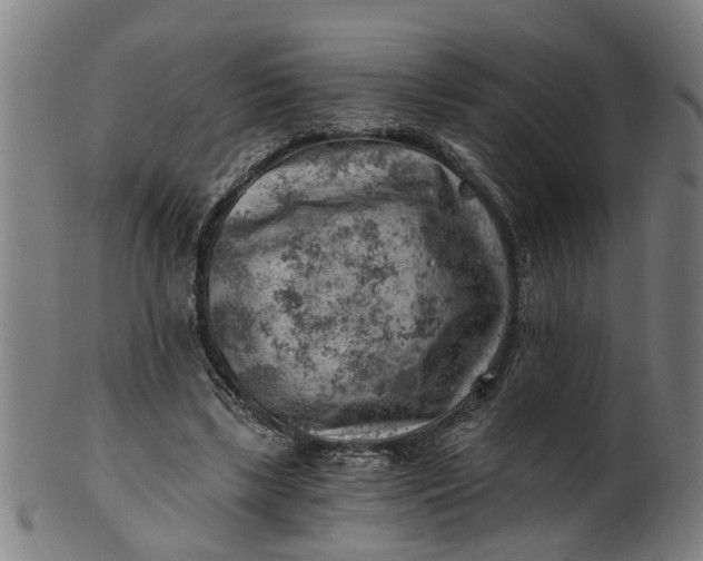 X0000101650443200807241358