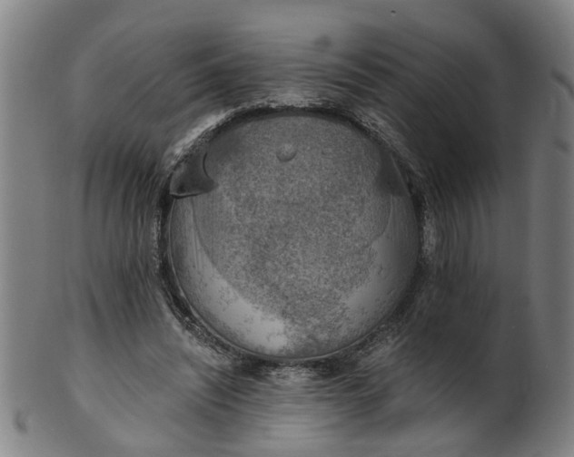 X0000101650444200807241358